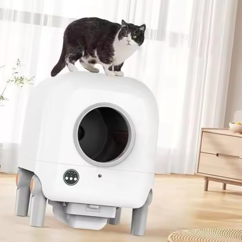Img